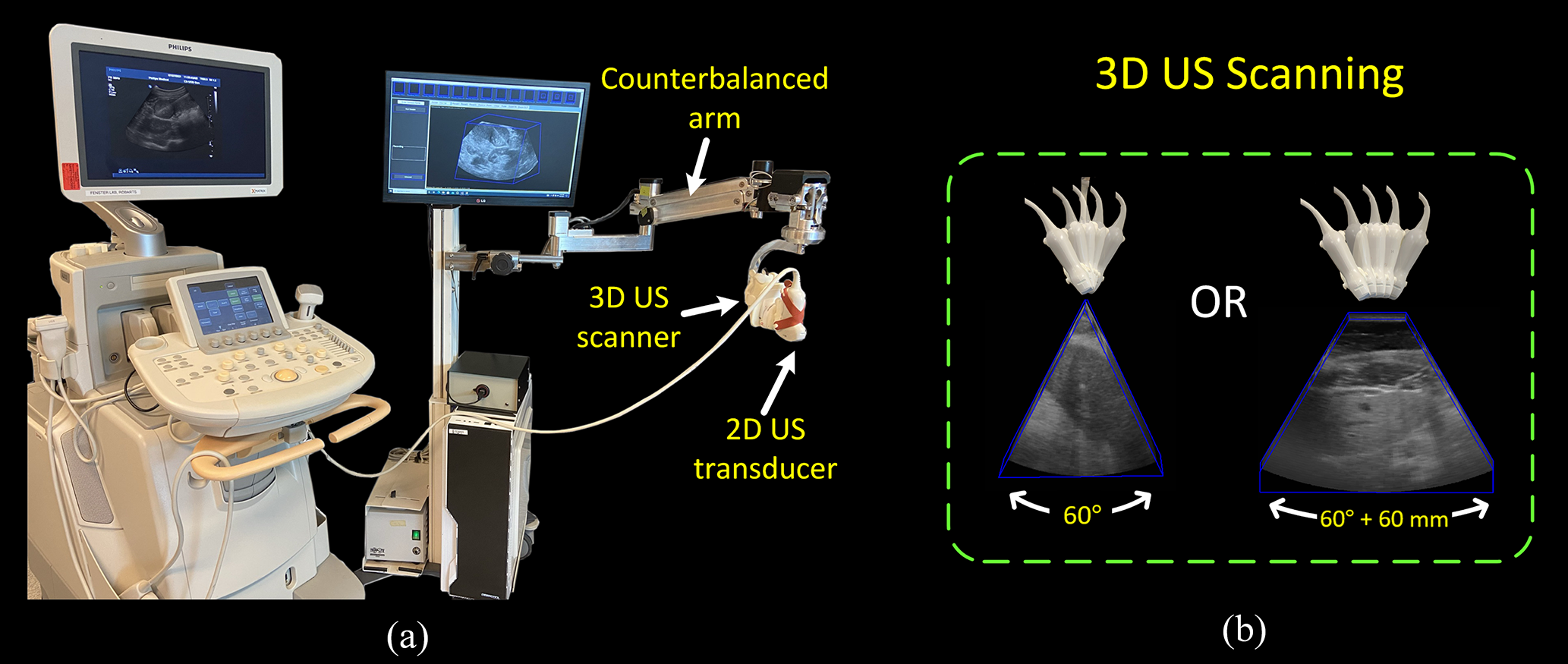 3DLIVUS system